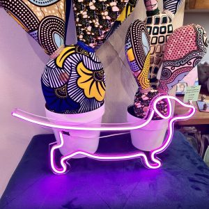 “Insegne Neon” luminose BASSOTTO