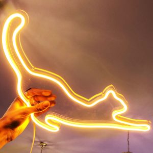 “Insegne Neon” luminose gatto